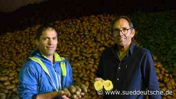 "Die Kartoffel ist heuer eine sehr schwierige Frucht" - Süddeutsche Zeitung