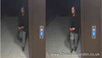 Sabina Nessa: Suspect arrested as police hunt for CCTV man
