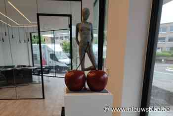 Kunstige kersen duiken op in straatbeeld (Aalter) - Het Nieuwsblad