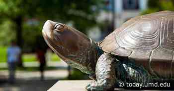 $7.5M Award Funds Research on Memory Architecture for Quantum… - Maryland Today