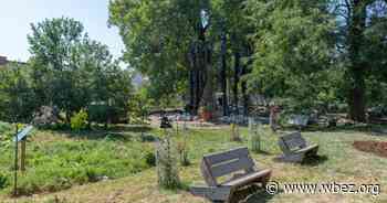 Chicago Architecture Biennial Focuses On Vacant Lots - WBEZ