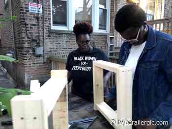 Group of Black Women Artists Withdraws From Chicago Architecture Biennial - Hyperallergic