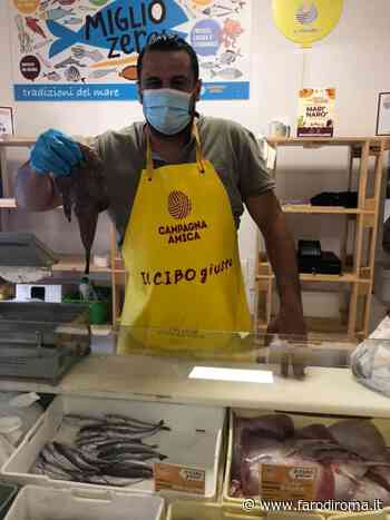 Terminato fermo pesca, importante seguire la stagionalità col pesce a km zero - Farodiroma