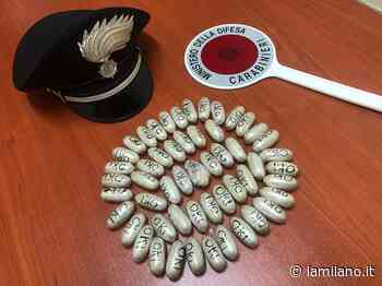 Fermo, sorpreso con oltre mezzo kg di eroina nello zaino: ragazzo arrestato a Montegiorgio - La Milano