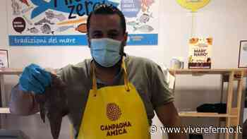 Coldiretti Ascoli Fermo, finito il fermo pesca torna il pesce a miglio zero: "Meglio dell'Adriatico e seguendo la stagionalità" - Vivere Fermo