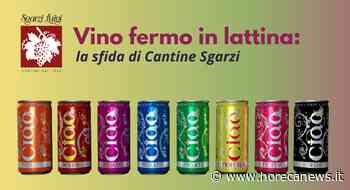 Vino fermo in lattina: la sfida di Cantine Sgarzi - Horeca News