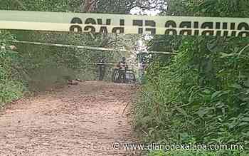 Hallan cadáver entre cañales de Coatepec, el cuerpo fue encontrado por lugareños - Diario de Xalapa
