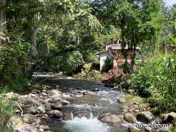 Persisten ataques contra el bosque de Coatepec | Hora Cero - Hora Cero | Noticias de Veracruz