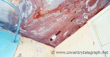 Coventry mum and daughter forced out of flat for second time after sewage leaks - Coventry Live