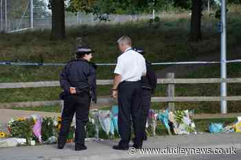 Key events in investigation into murder of Sabina Nessa - Dudley News