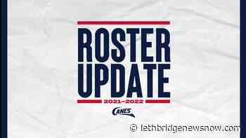 Hurricanes trim pre-season roster, reassign three players - Lethbridge News Now