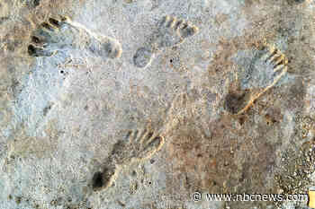 Stone Age footprints are earliest evidence of humans in North America
