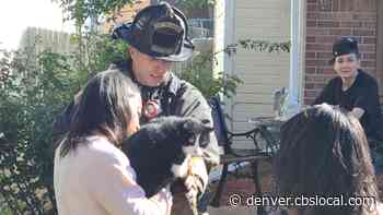 2 Cats Rescued From Burning Home In Aurora - CBS Denver