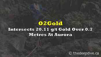 O2Gold Intersects 20.11 g/t Gold Over 0.7 Metres At Aurora - The Deep Dive