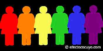 Libres de feminismo - Efecto Cocuyo