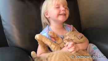 WATCH:  Toddler says her bedtime prayer while clutching her cat