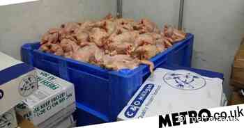 Butcher sold chicken rejected by shops which was destined for pet food - Metro.co.uk