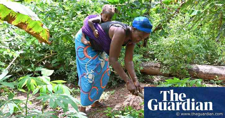‘Corporate colonization’: small producers boycott UN food summit - The Guardian