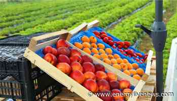 UK researchers offered £4m for sustainable agri-food system - Energy Live News - Energy Made Easy