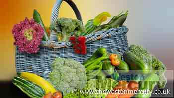 Weston to get community fridge to offer free surplus food - Weston Mercury