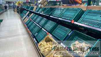 OPINION: A pressing need to repair our broken food chain - Eastern Daily Press