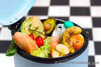 How can we prevent and reduce food waste? - New Scientist