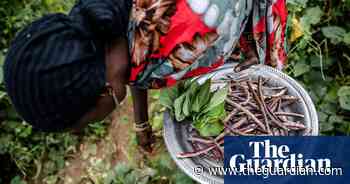 UN food summit will be ‘elitist’ and ‘pro-corporate’, says special rapporteur - The Guardian