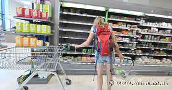 Tesco, Morrisons and Sainsbury's issue update on empty shelves and food shortage - The Mirror