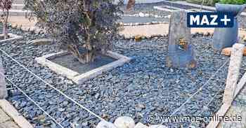 Stadt Rathenow will Schottergärten-Auswüchse unterbinden - Märkische Allgemeine Zeitung