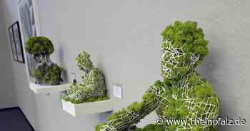 Galerientage im Kunstverein - Mannheim - DIE RHEINPFALZ - Rheinpfalz.de