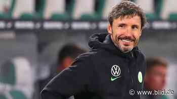 VfL Wolfsburg: Rotation – Bei van Bommel ist fast keiner sicher - BILD