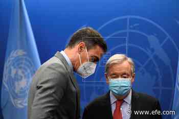 Sánchez ratifica la necesidad de una solución en el Sáhara acorde con la ONU - Agencia EFE