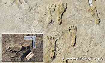 Footprints in New Mexico made 23,000 years ago are earliest evidence of human activity in New World
