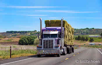 With widespread drought in Wyoming, governor’s order allows hay haulers to haul more hay - Oil City News