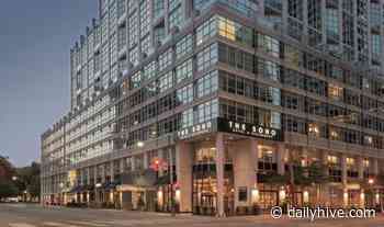 A look inside the SoHo Hotel's multimillion-dollar renovation in Toronto (PHOTOS) | Urbanized - Daily Hive