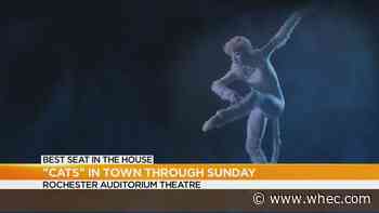Best Seat in the House: Greece Arcadia grad stars in 'Cats'