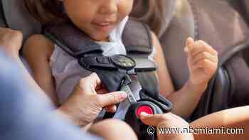 Local Law Enforcement Look to Decrease Children's Injuries With Car Seat Safety