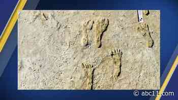 Oldest human footprints in North America found in New Mexico's White Sands National Park