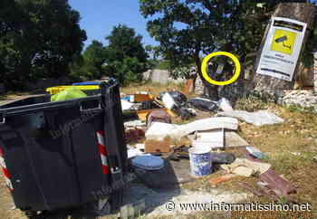 Putignano - Tutela dell'ambiente: è caccia aperta agli sporcaccioni - Putignano Informatissimo