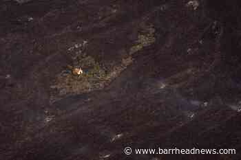 Lava flow slows on Spanish island after volcanic eruption - Barrhead News