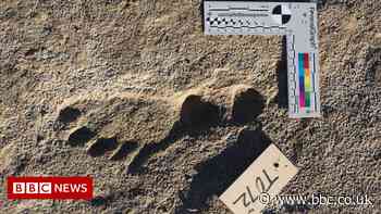 Footprints show earliest evidence of people in Americas