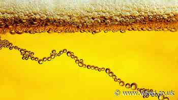 The UK’s CO2 shortage was entirely predictable