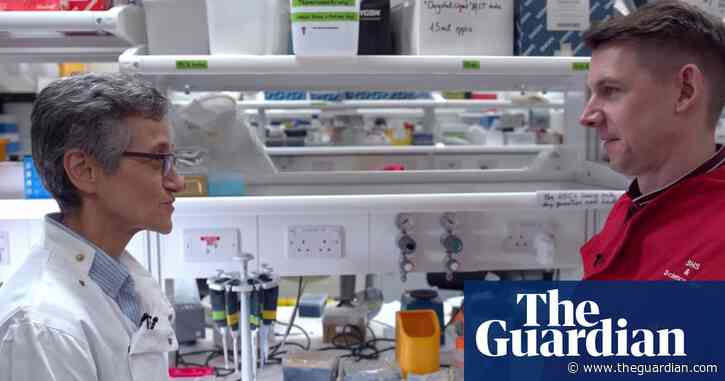 Sponges, blood cells and sound-art: the exhibition hoping to cure my cancer