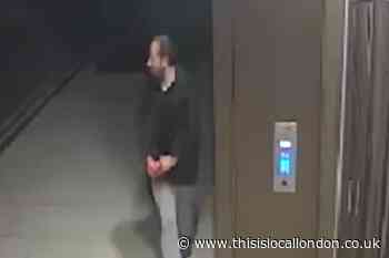 Video footage released in Sabina Nessa murder case