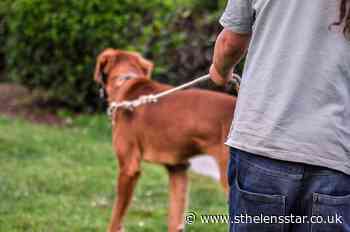 Off lead dogs debate - St Helens Star