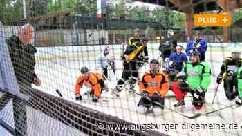 Eishockey: EC Senden wagt einen neuen Anlauf in der Bezirksliga