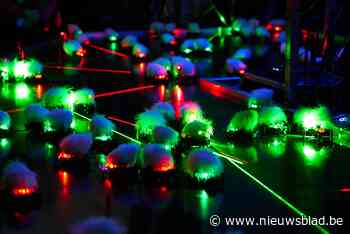 Zestig lasermuizen en zwaailichtwandeling in Warande op kinderkunstenfestival Stormopkomst