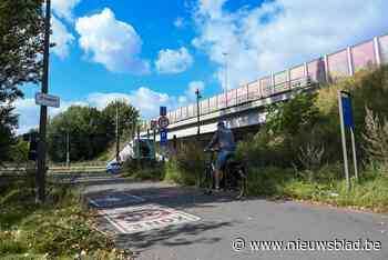 Nieuwe fietsbrug naast snelwegbrug E313