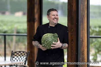 Good Taste with Chef de cuisine Scott Geiring - Agassiz-Harrison Observer