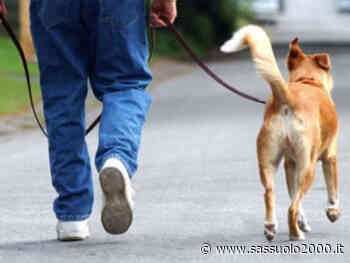 Torna domenica a Modena la “Camminata a sei zampe” - sassuolo2000.it - SASSUOLO NOTIZIE - SASSUOLO 2000
